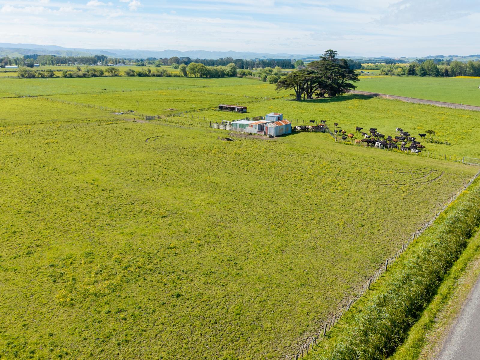 29 Troup Road, Woodville