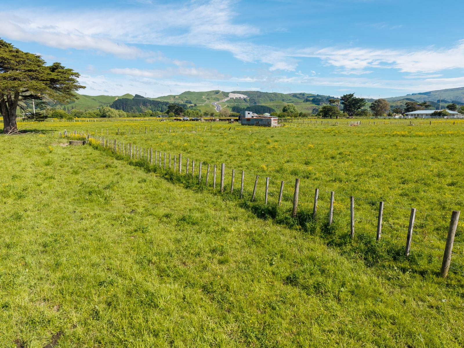 29 Troup Road, Woodville