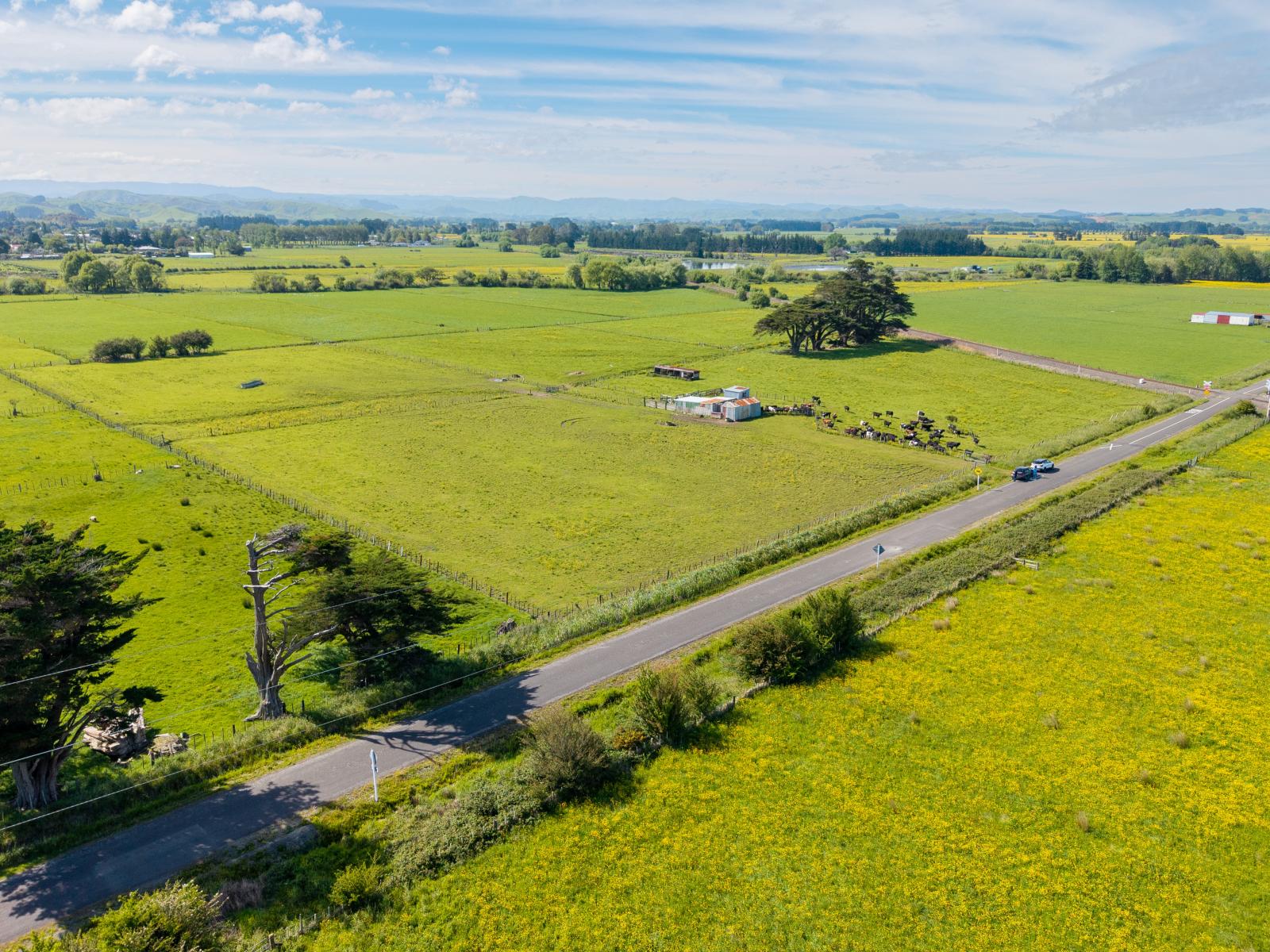 29 Troup Road, Woodville