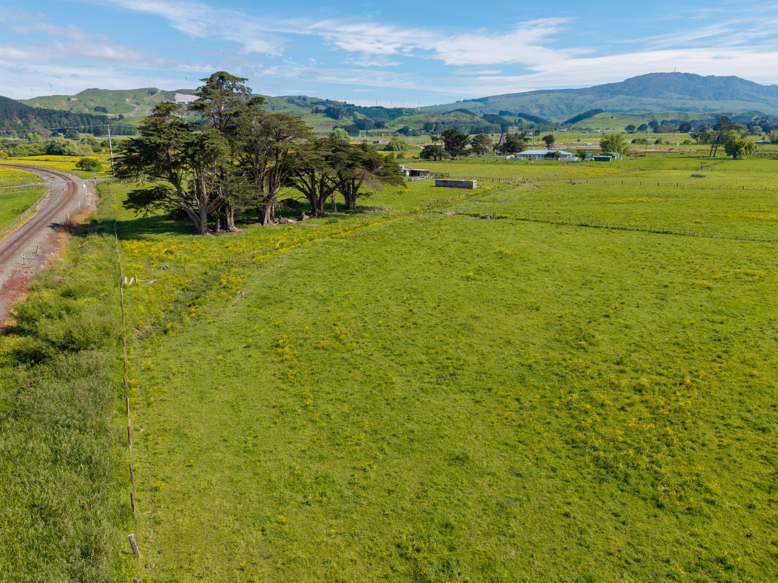 29 Troup Road, Woodville