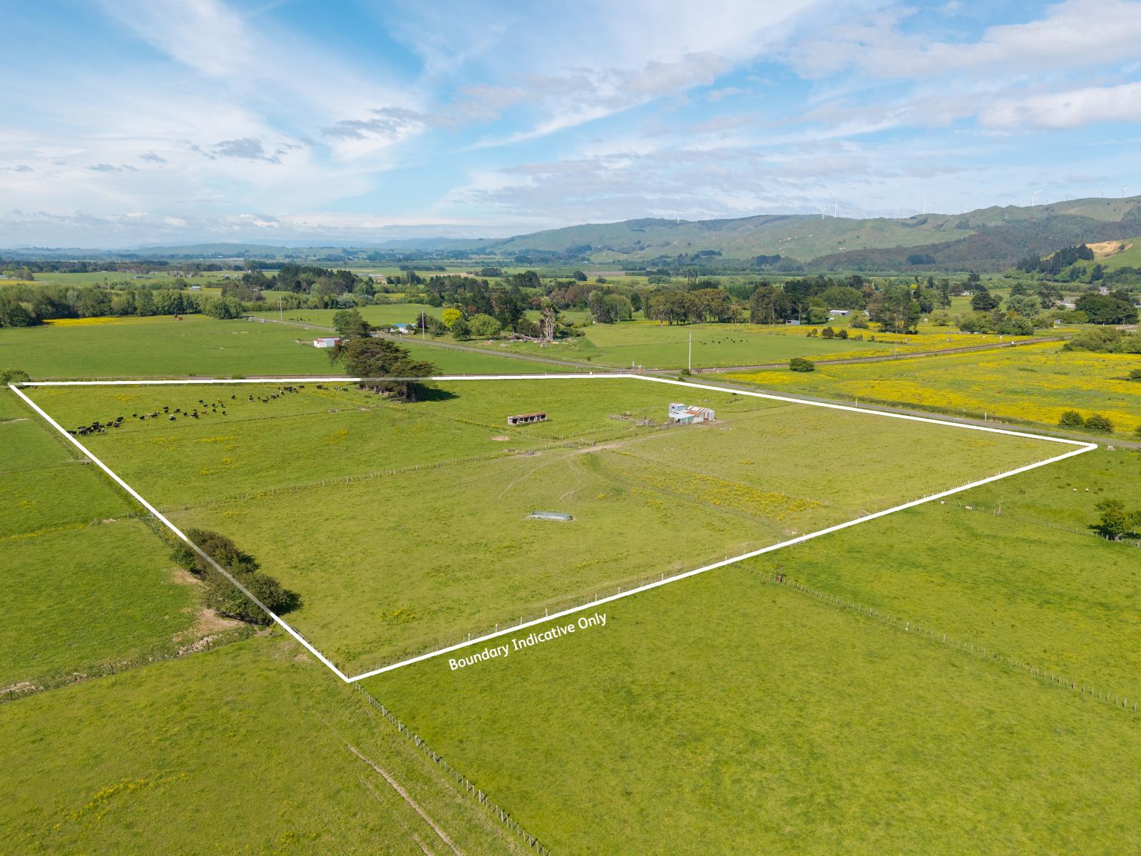 29 Troup Road, Woodville