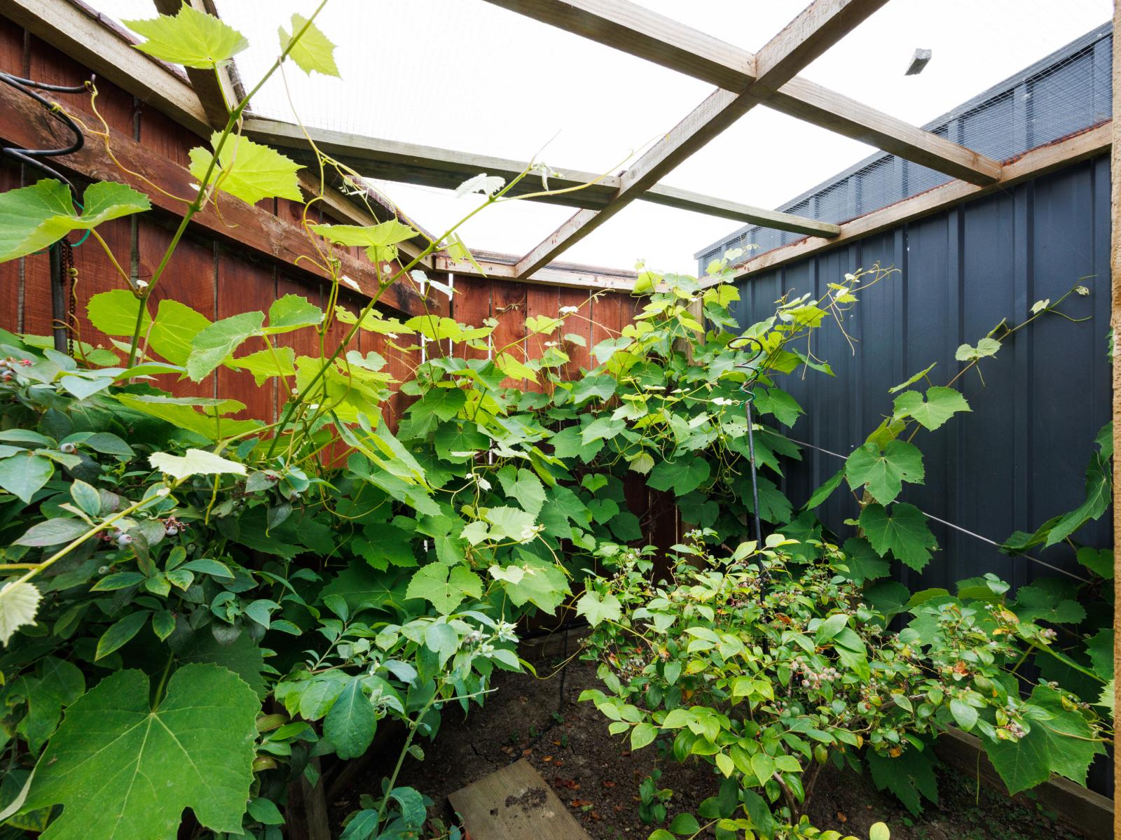 35 Pegasus Place, Kelvin Grove