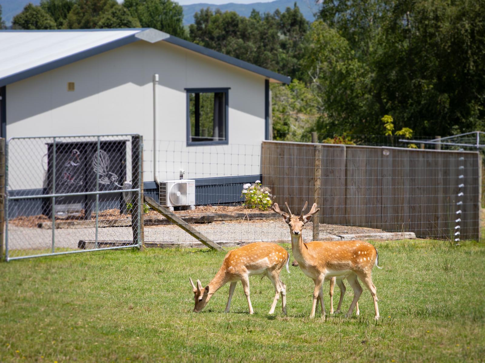 40 Tiraumea Road, Pahiatua