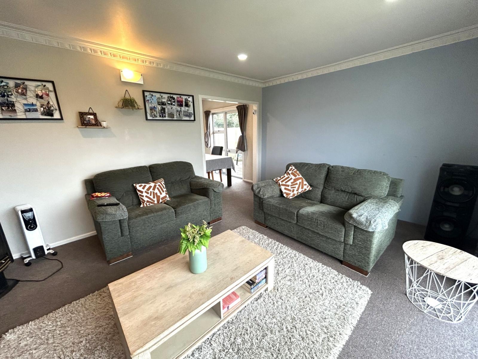 20 Papanui Street, Tokoroa