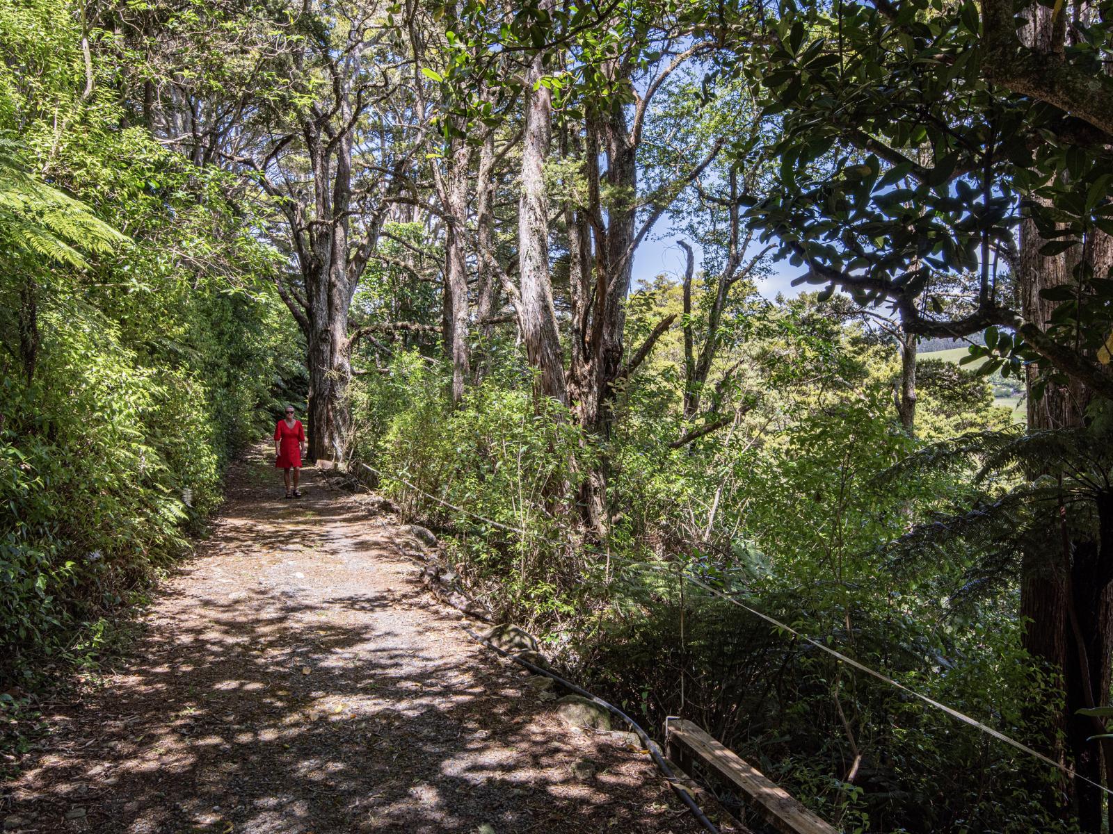 144 Tahere Road, Whareora