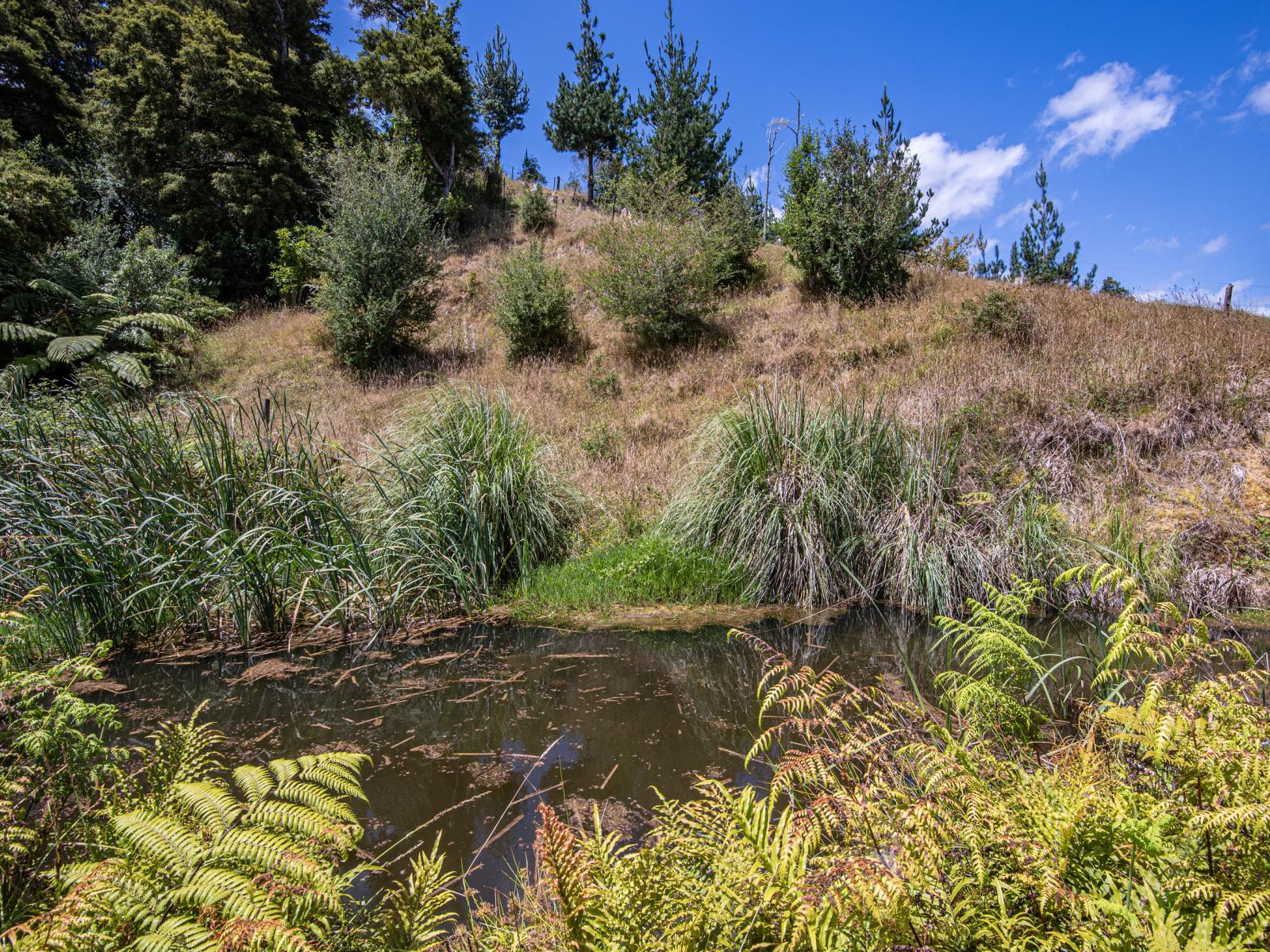 144 Tahere Road, Whareora