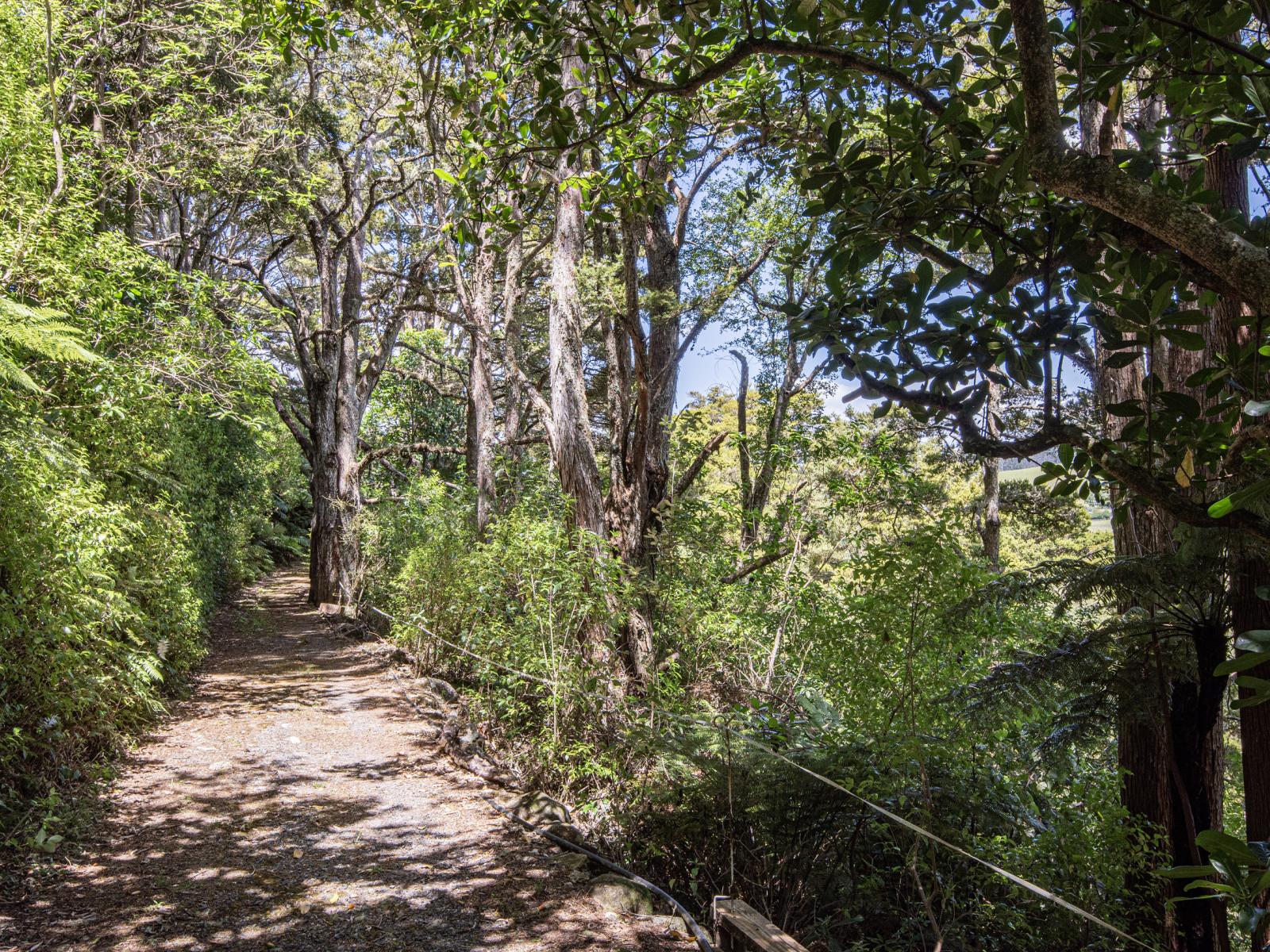 144 Tahere Road, Whareora