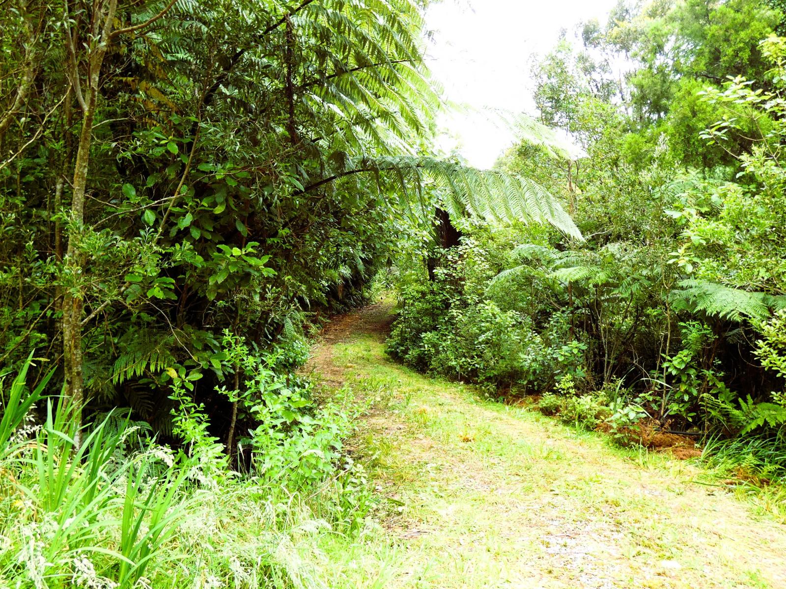 5296D State Highway 6, Punakaiki