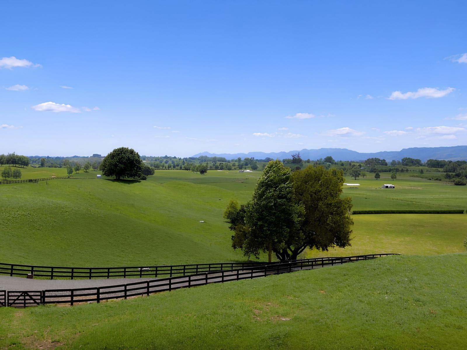 Lot 2, 3 & 5, Harwoods Road, Tirau