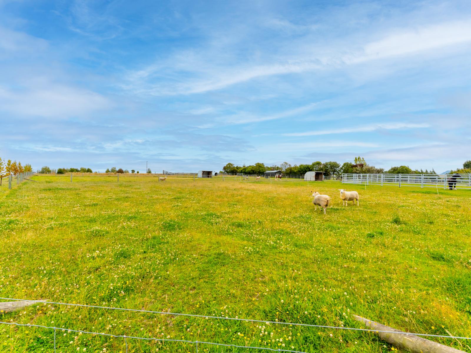 180 Daniels Road, Timaru Surrounds
