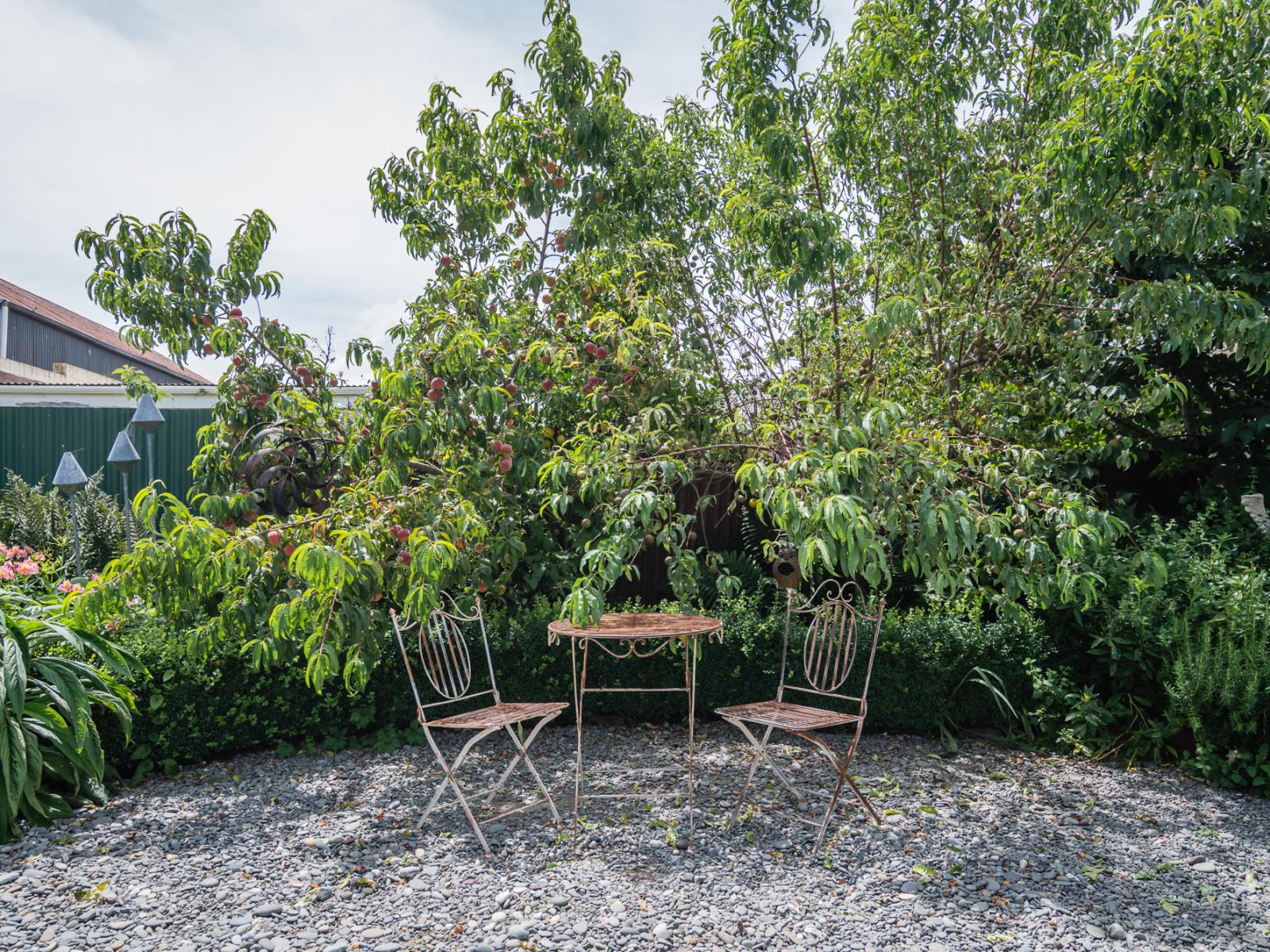 19 Hally Terrace, Temuka