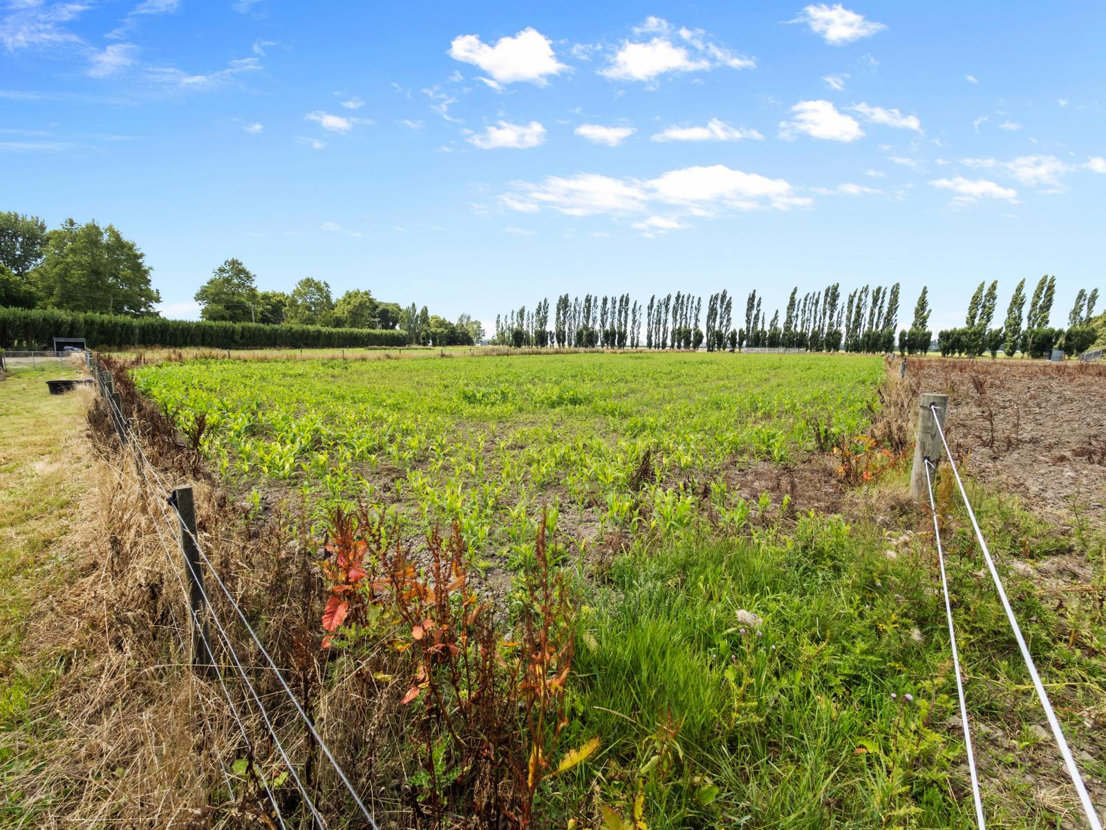 279 Longbeach Road, Willowby