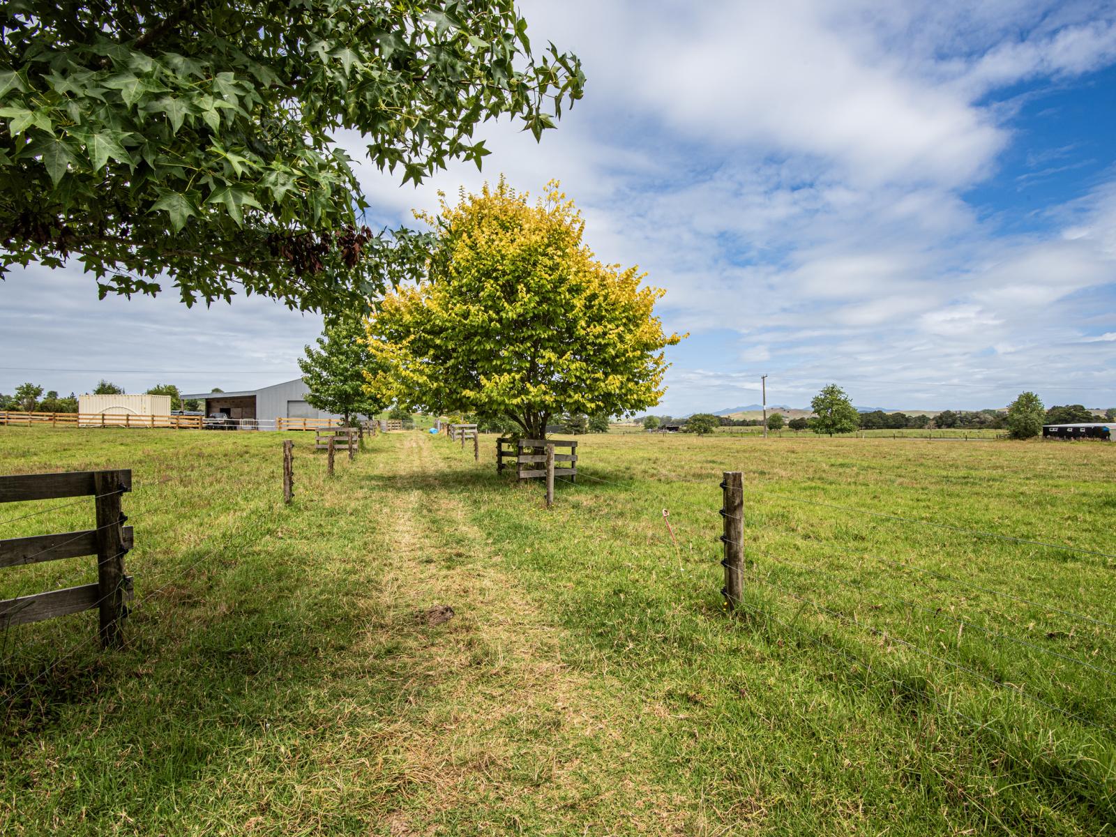 36 Draffin Road, Poroti