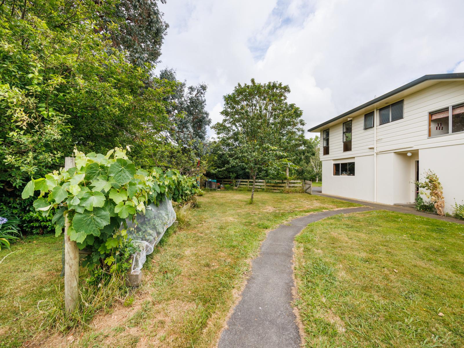 852 Penny Road, Awahuri