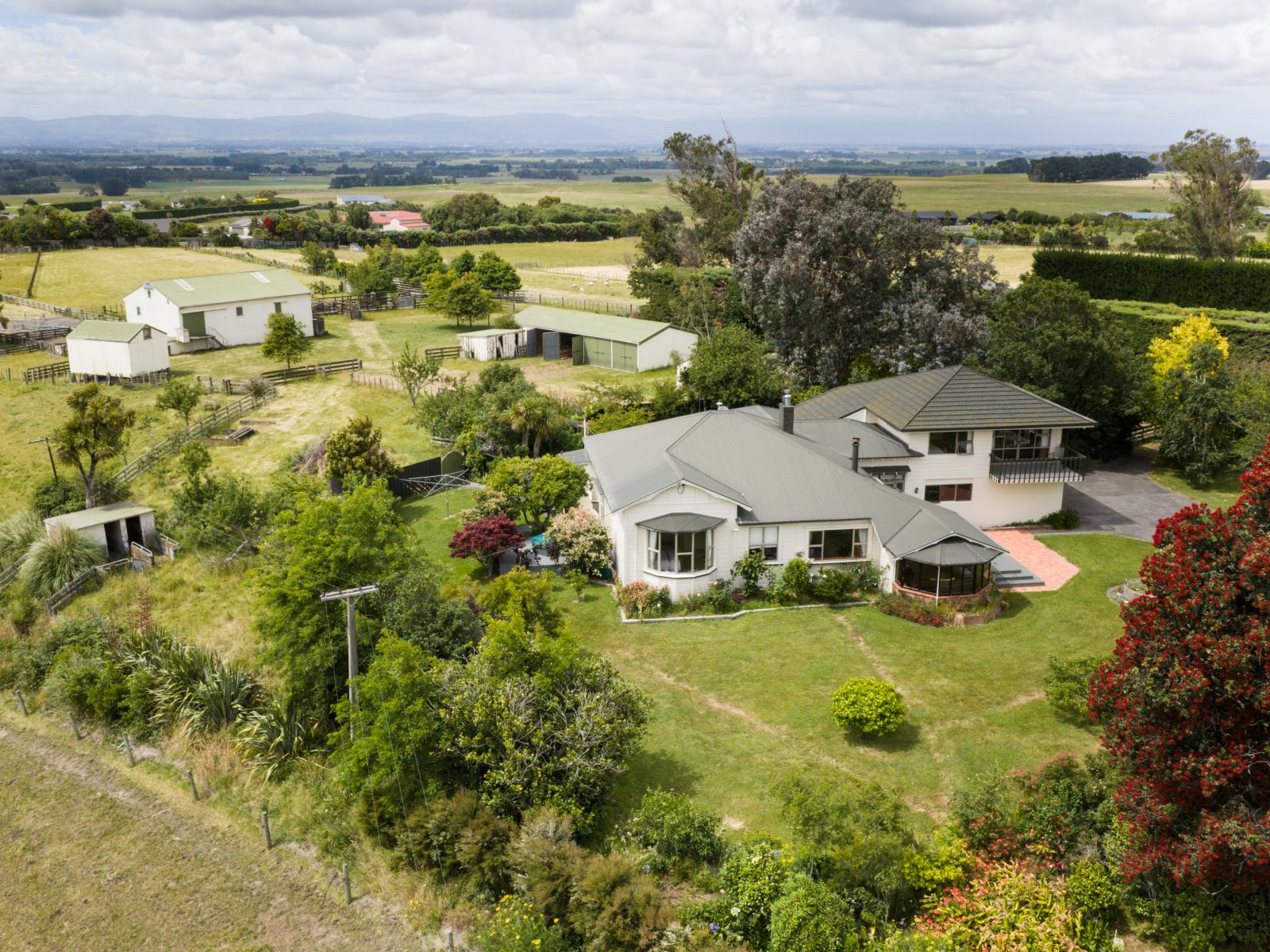 852 Penny Road, Awahuri