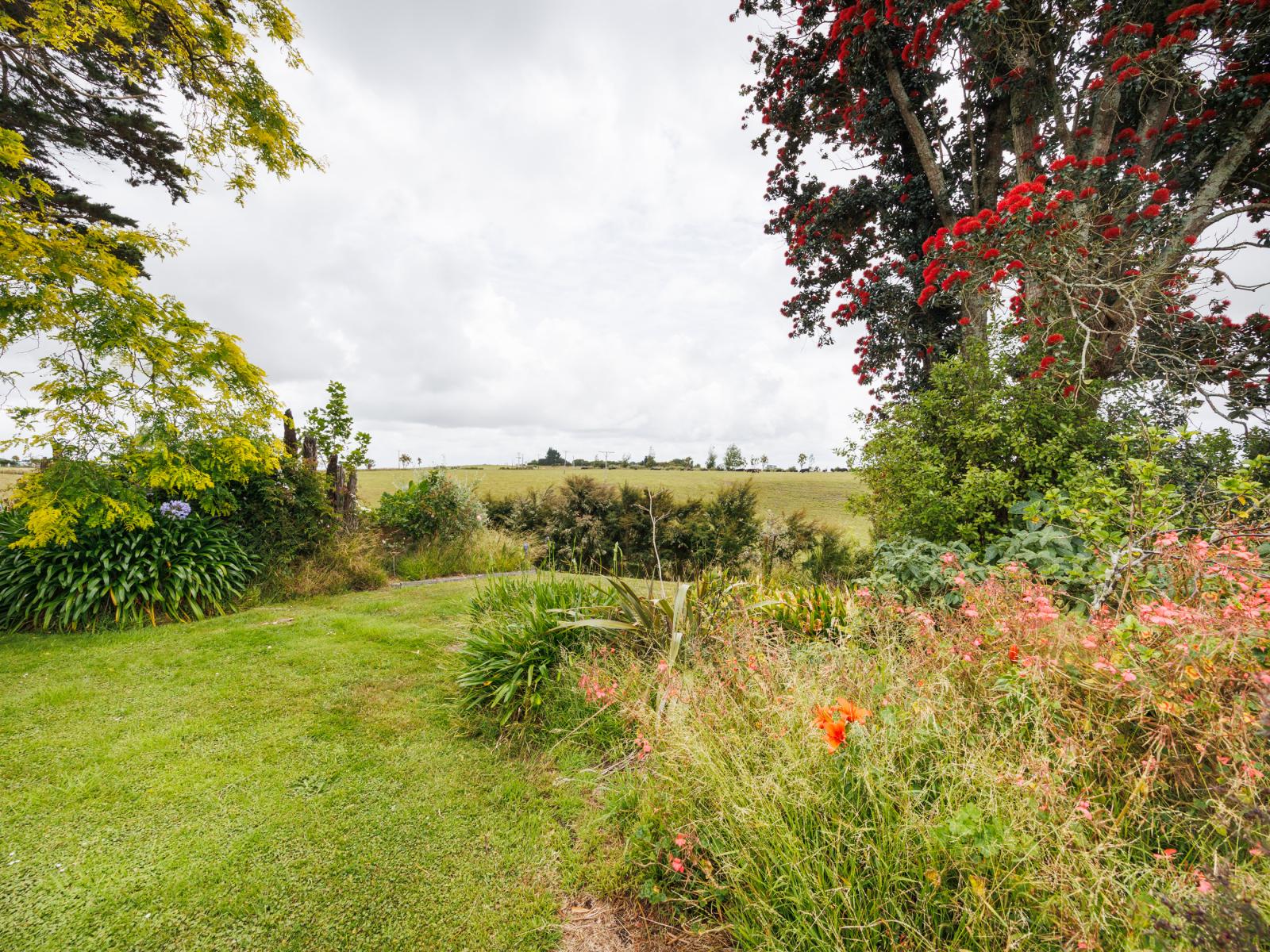 852 Penny Road, Awahuri