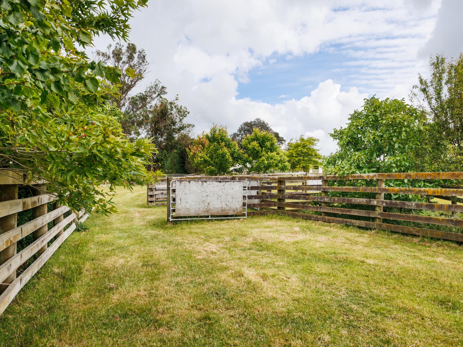 852 Penny Road, Awahuri