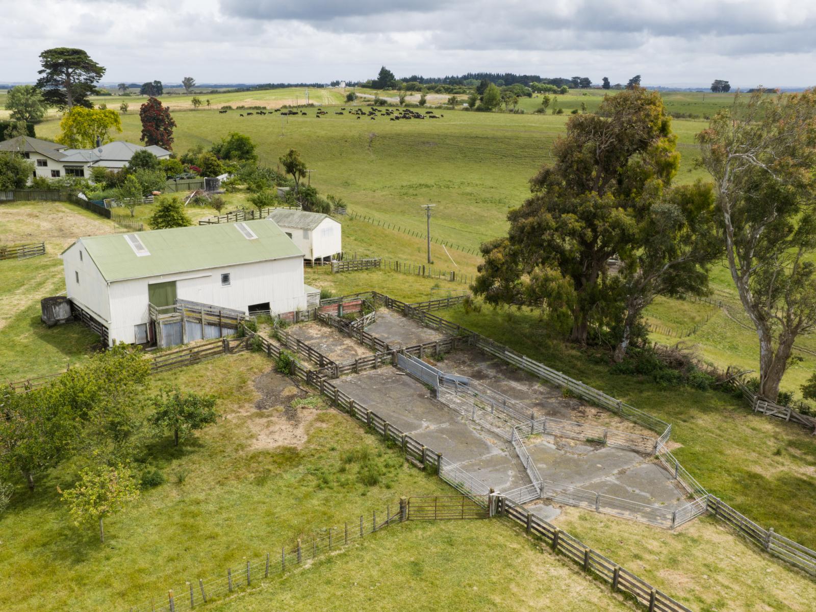 852 Penny Road, Awahuri