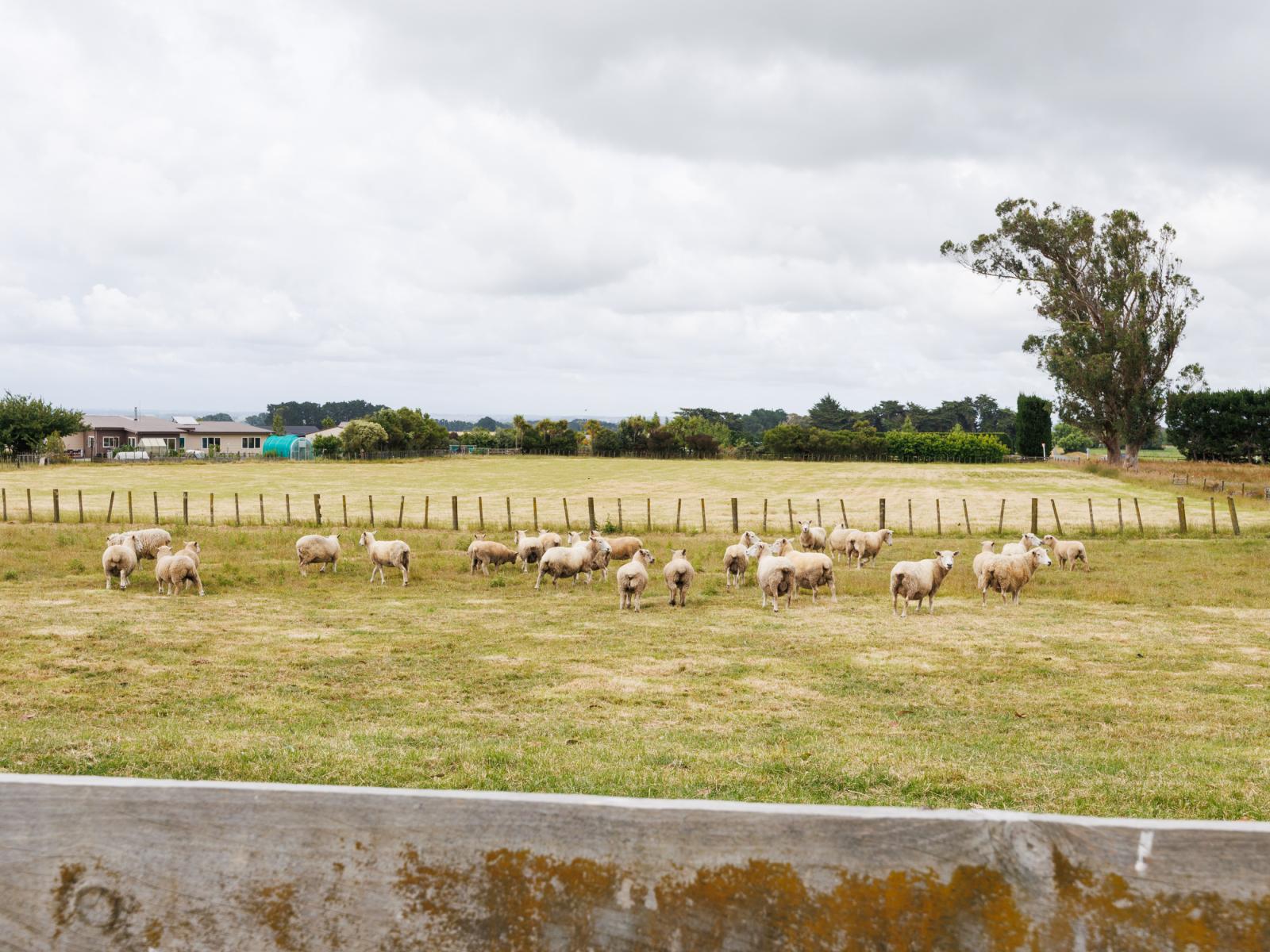 852 Penny Road, Awahuri