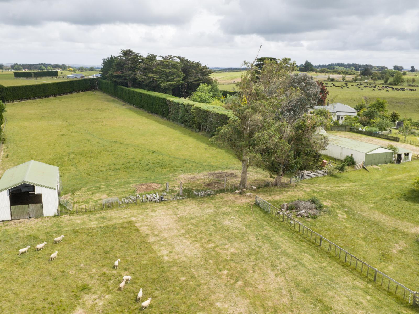 852 Penny Road, Awahuri