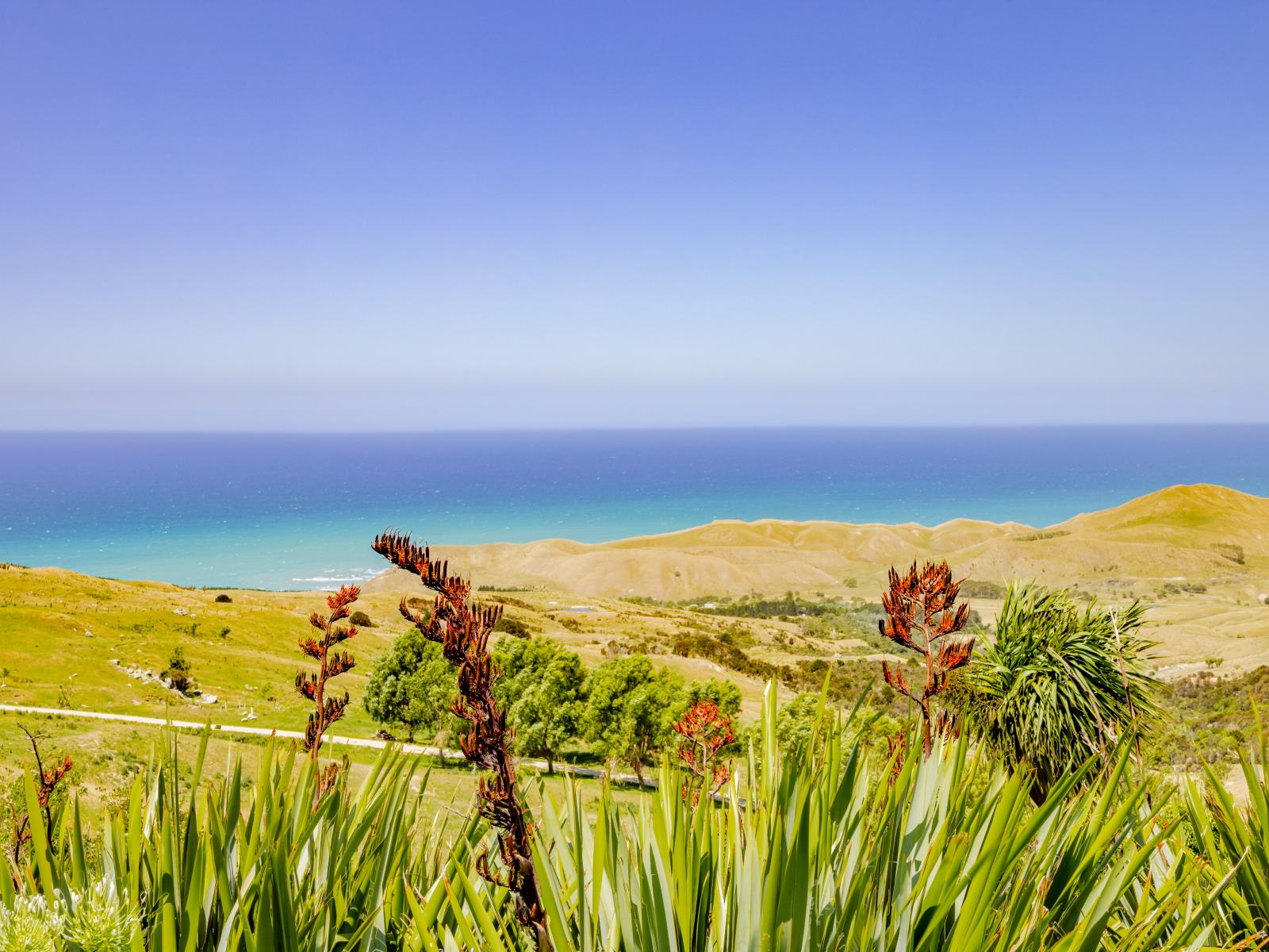 1165 Cooks Tooth Road, Porangahau