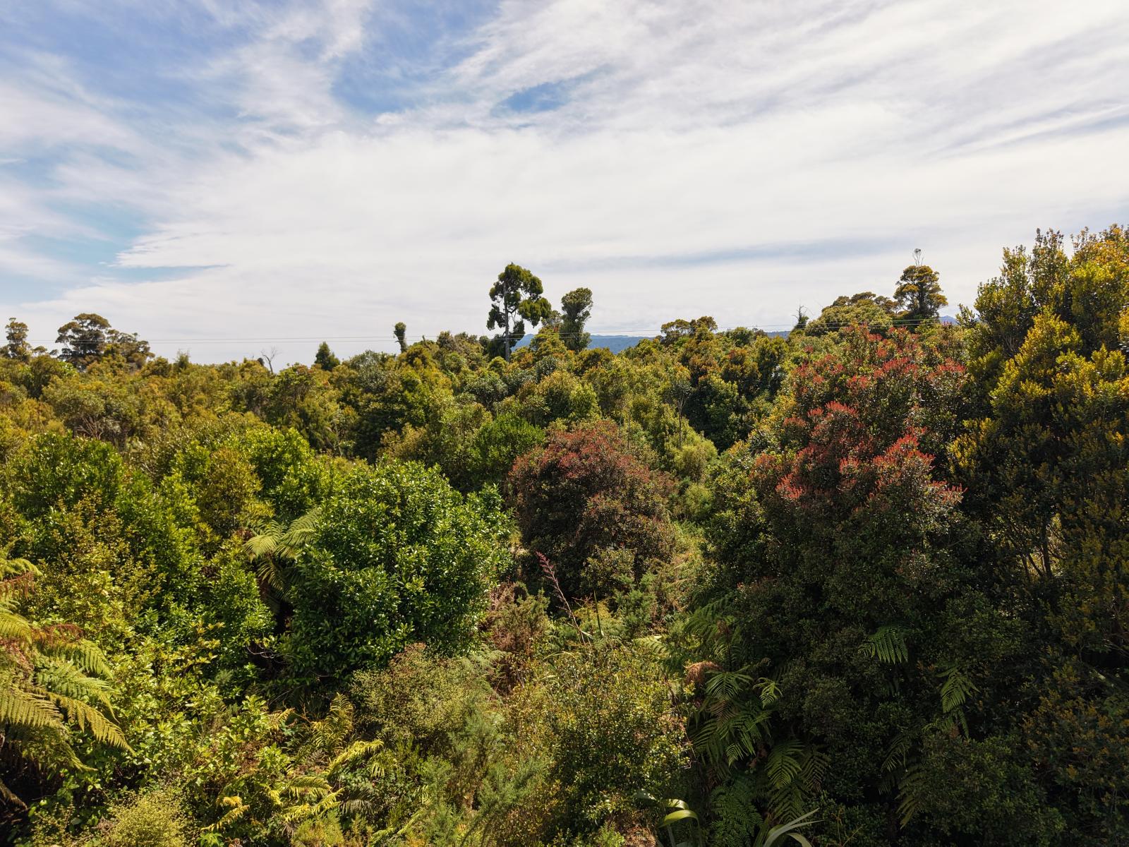 Lot 2 South Terrace Road, Karamea