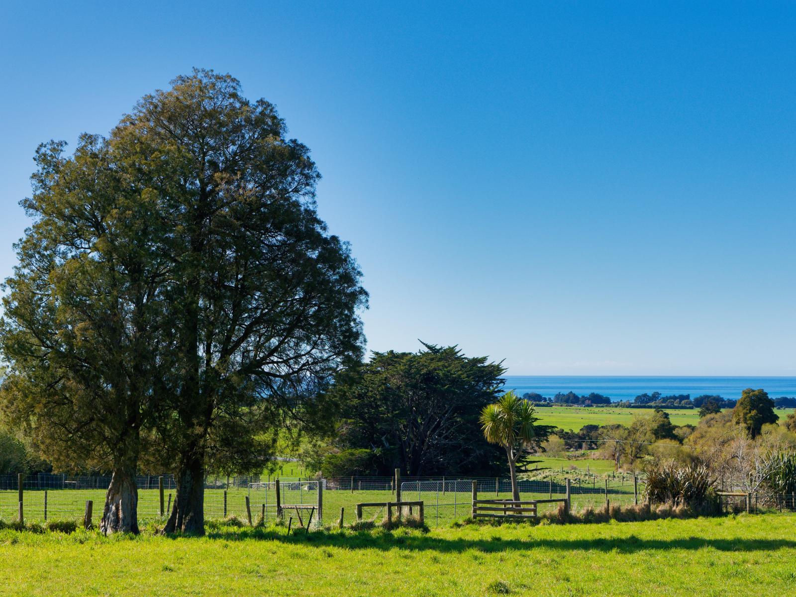 53 Grange Road, Kaikoura