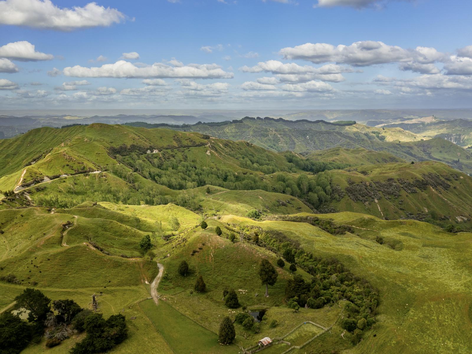 3104 Mangamahu Road , Mangamahu