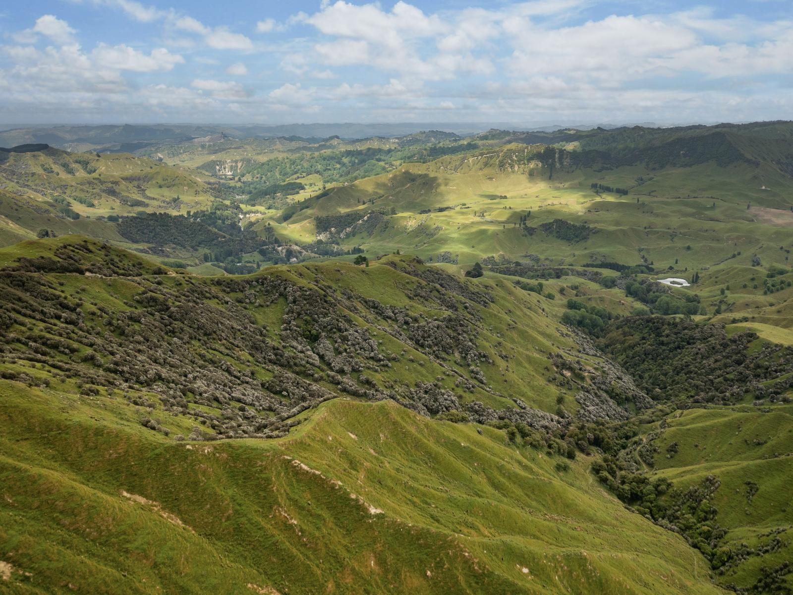 3104 Mangamahu Road , Mangamahu