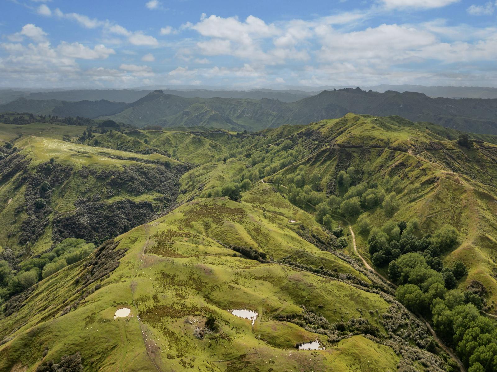 3104 Mangamahu Road , Mangamahu