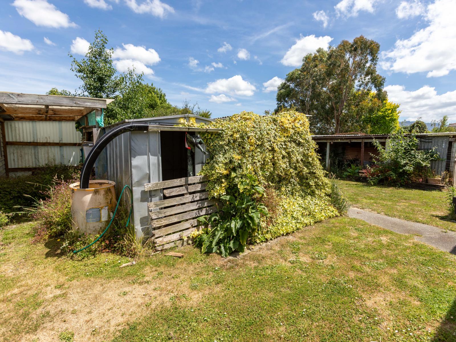 93 McLean Street, Woodville