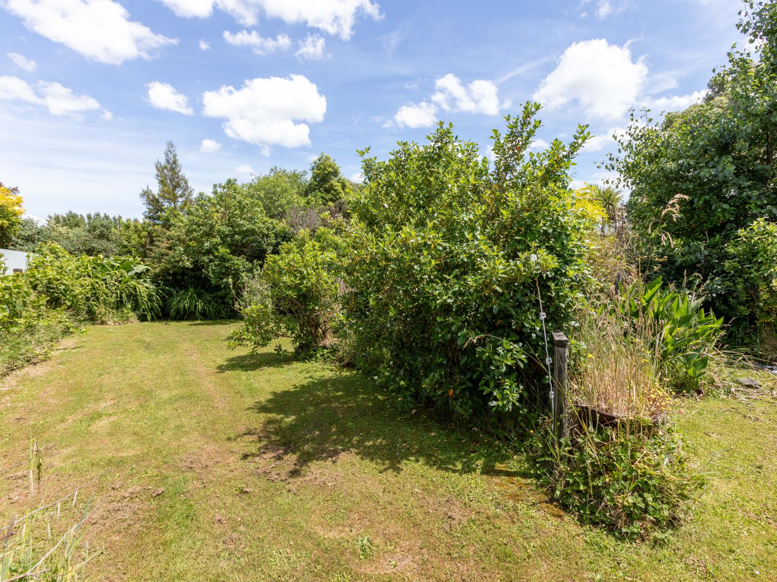 93 McLean Street, Woodville