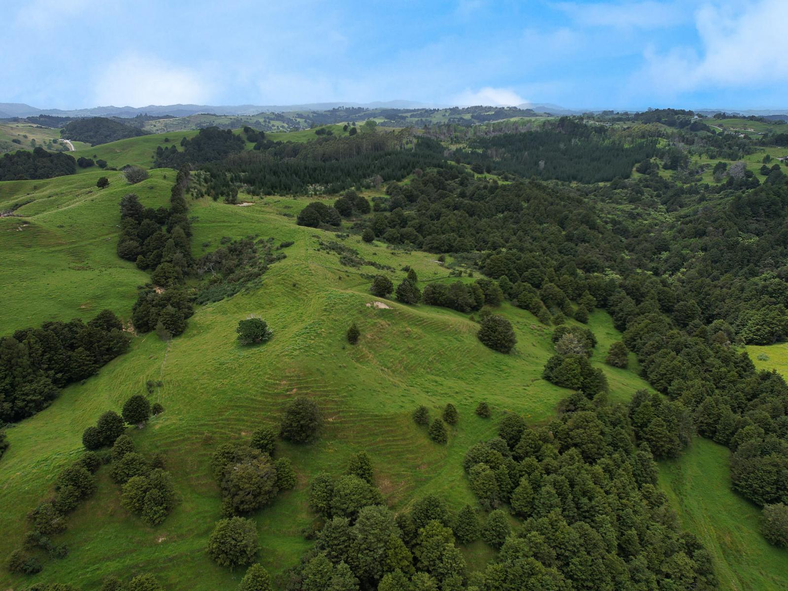 Lot 2/347 Porter Road, Paparoa