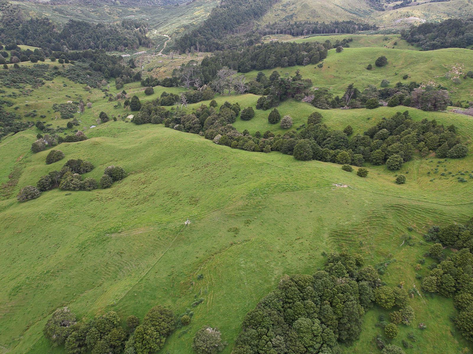 Lot 2/347 Porter Road, Paparoa