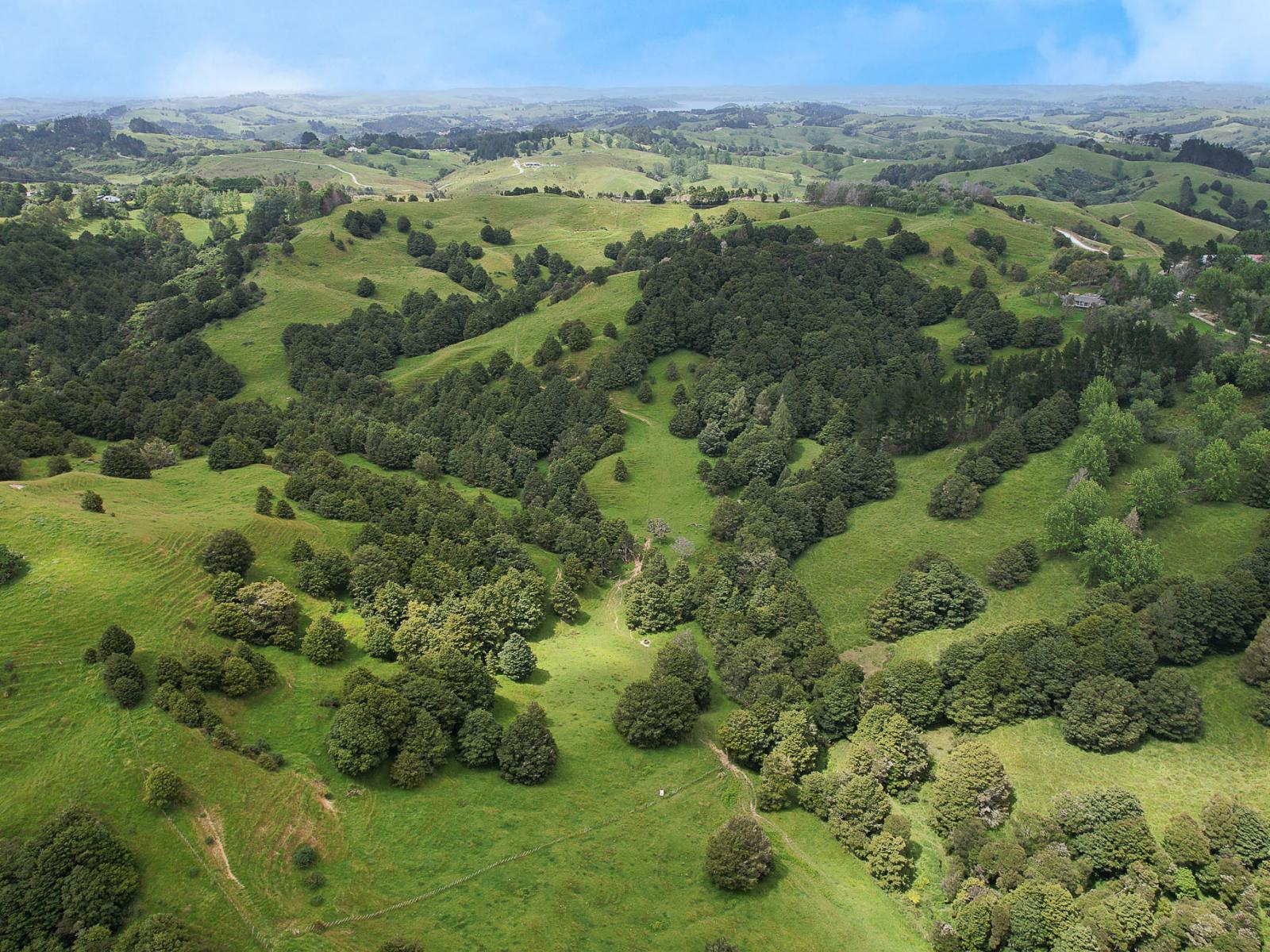 Lot 2/347 Porter Road, Paparoa