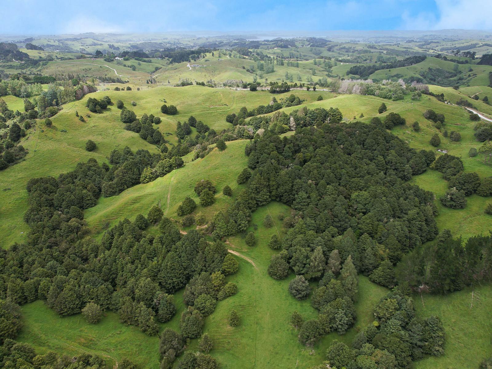 Lot 2/347 Porter Road, Paparoa