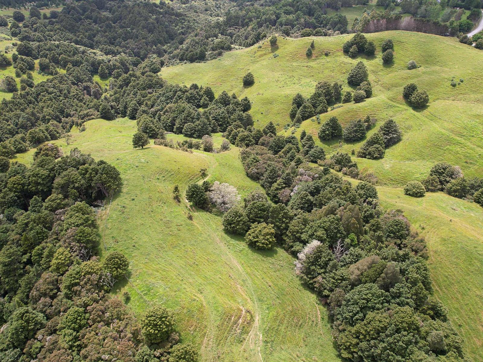 Lot 2/347 Porter Road, Paparoa