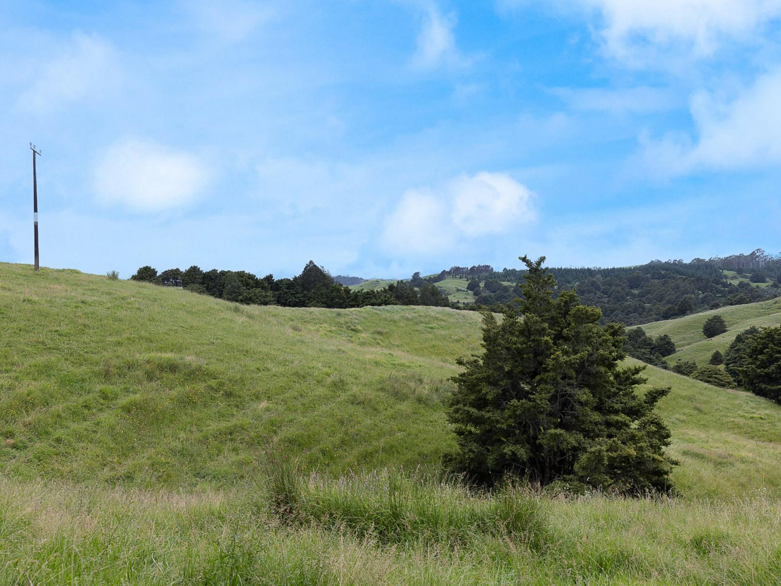 Lot 2/347 Porter Road, Paparoa