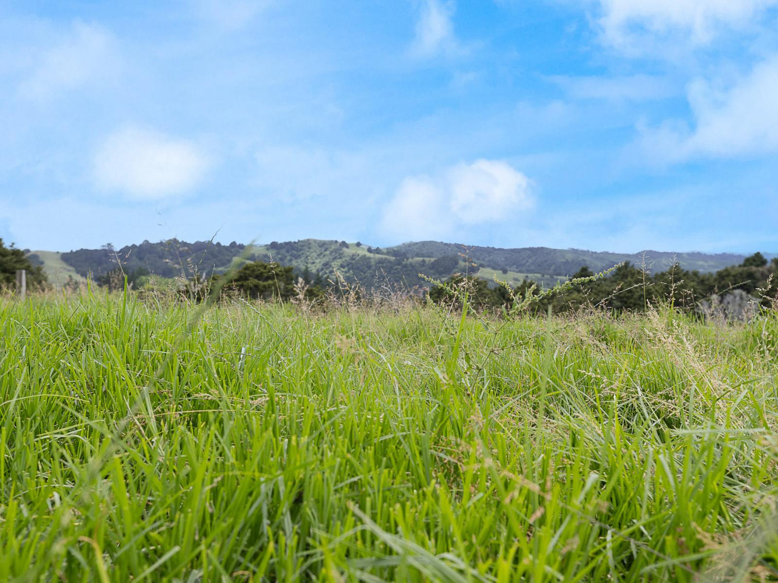 Lot 2/347 Porter Road, Paparoa