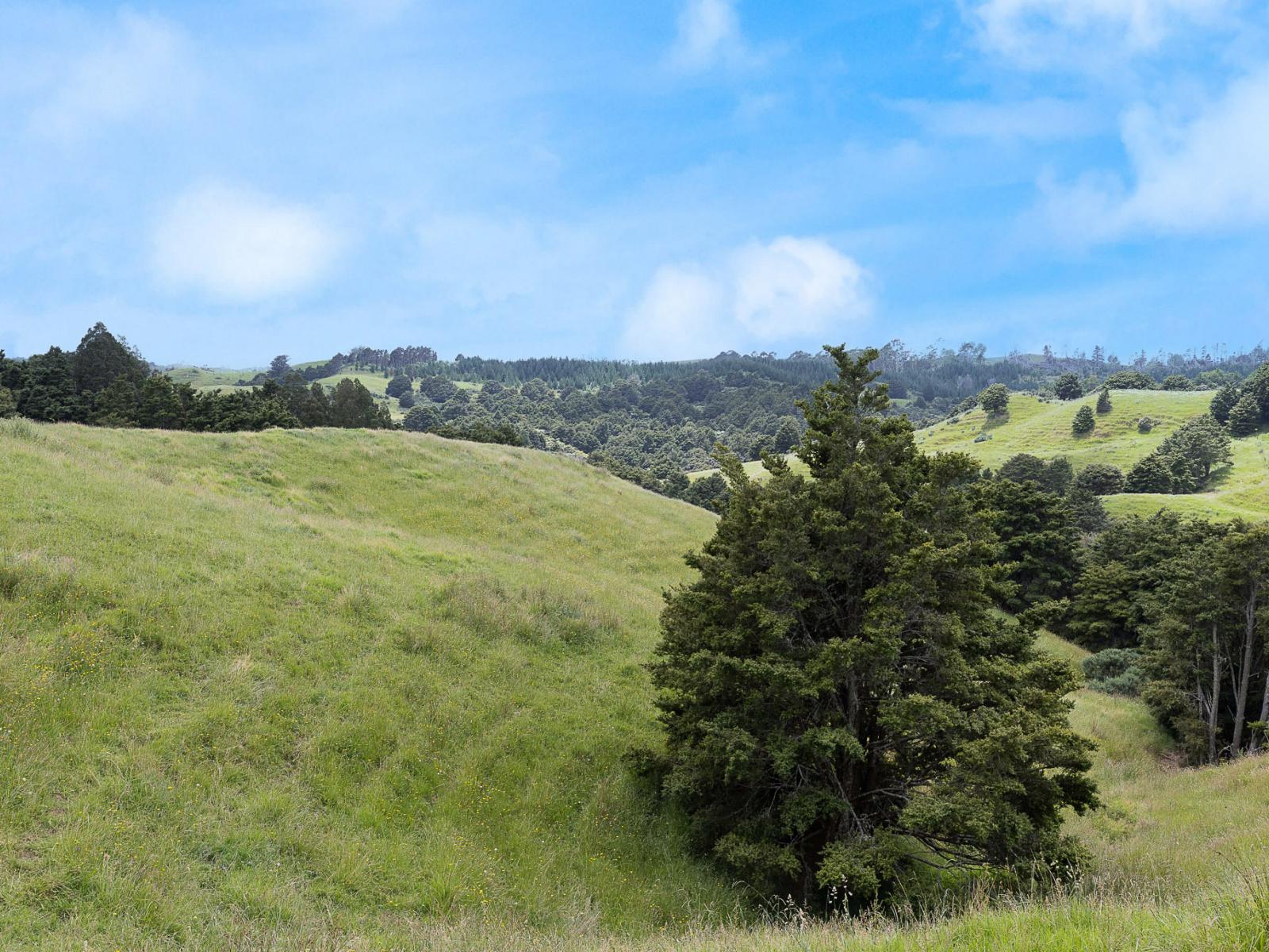 Lot 2/347 Porter Road, Paparoa