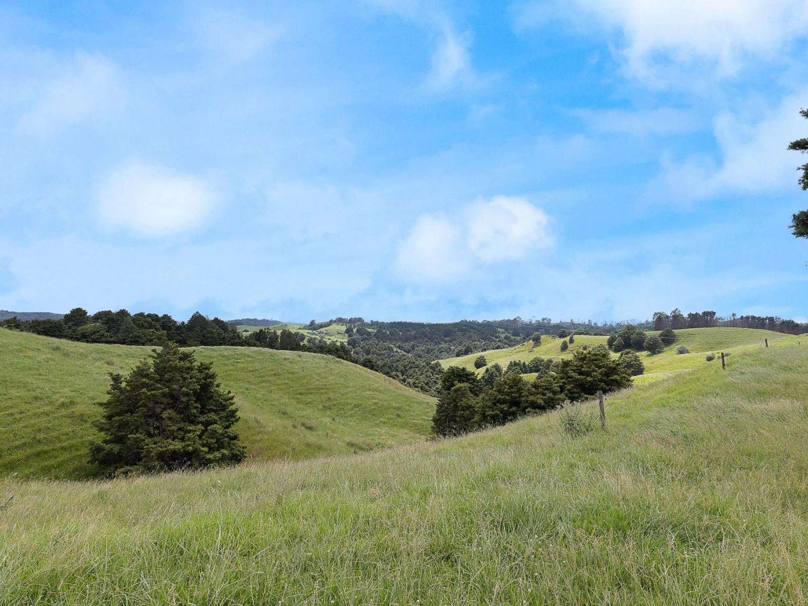 Lot 2/347 Porter Road, Paparoa