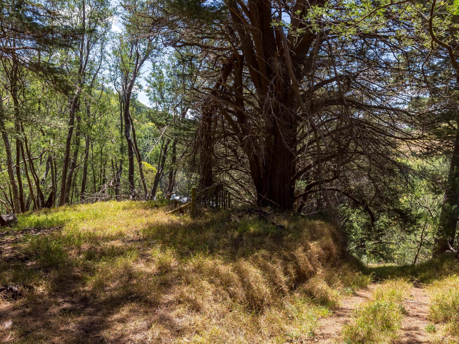 293A Manawa Road, Tinui 