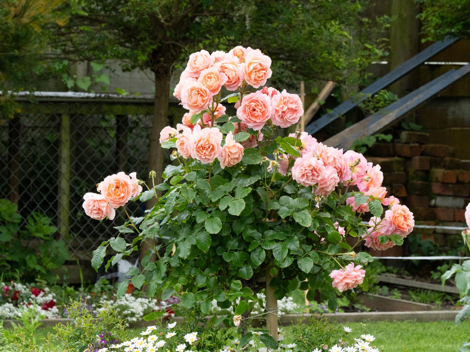 37 Kiharoa Street, Otaki Beach