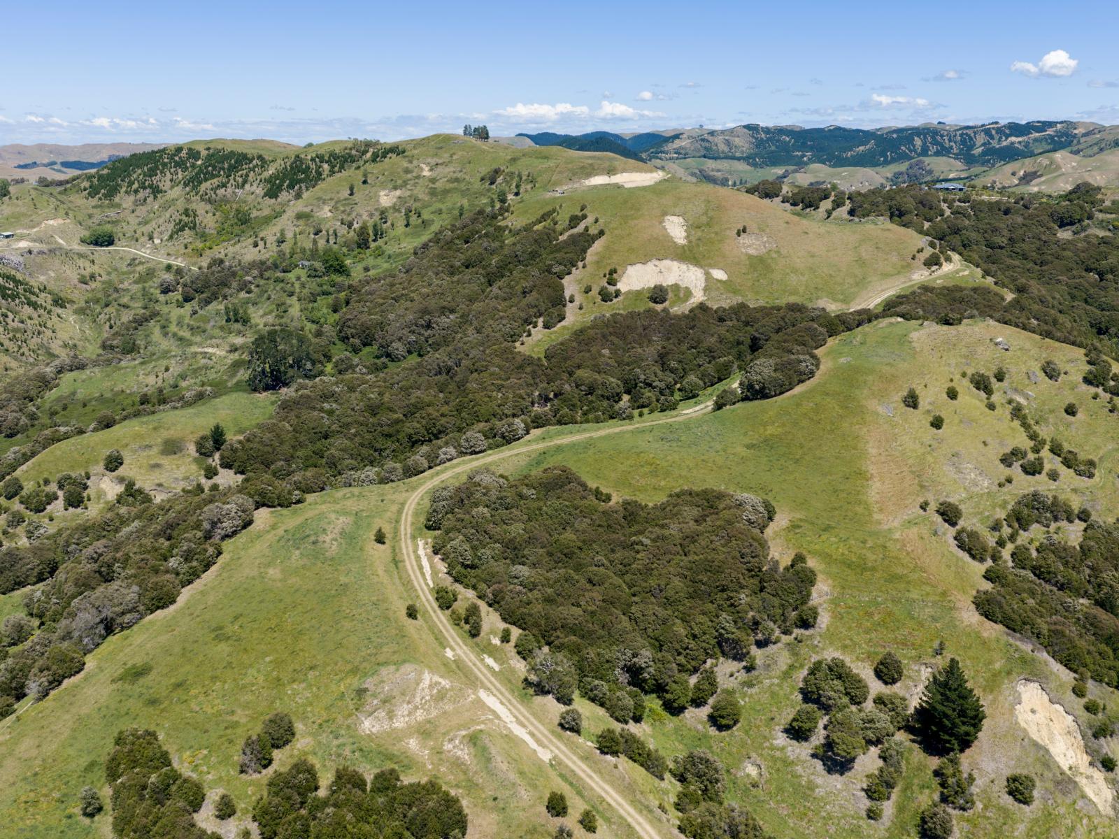 16 Linden Close, Eskdale