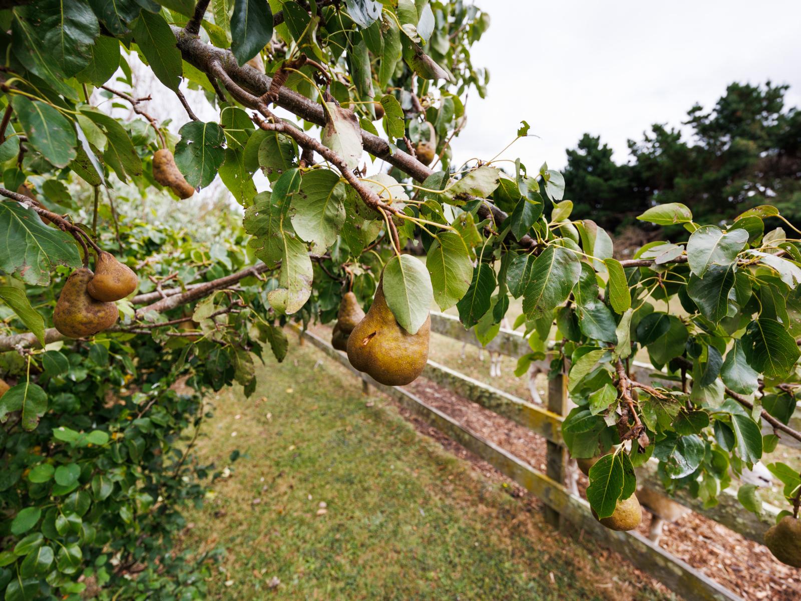 179 Watershed Road, Bunnythorpe