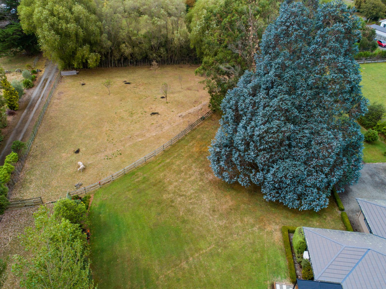 179 Watershed Road, Bunnythorpe