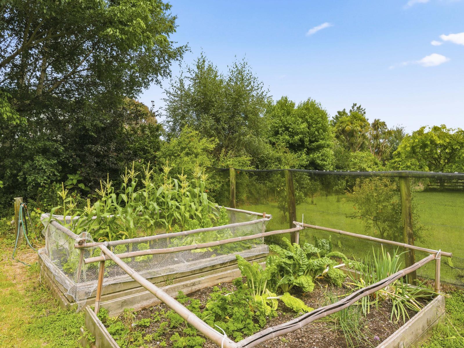 19 Hadfield Road, Peka Peka