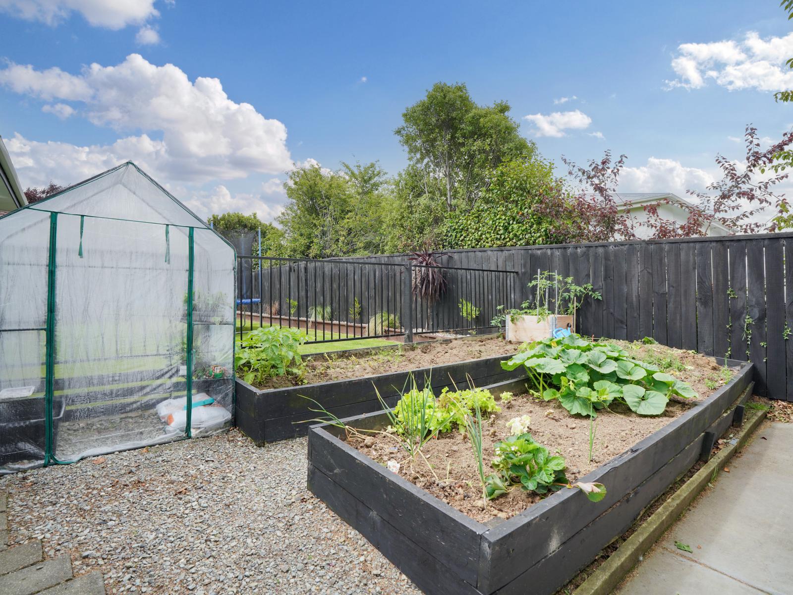 101 Ward Street, Waverley