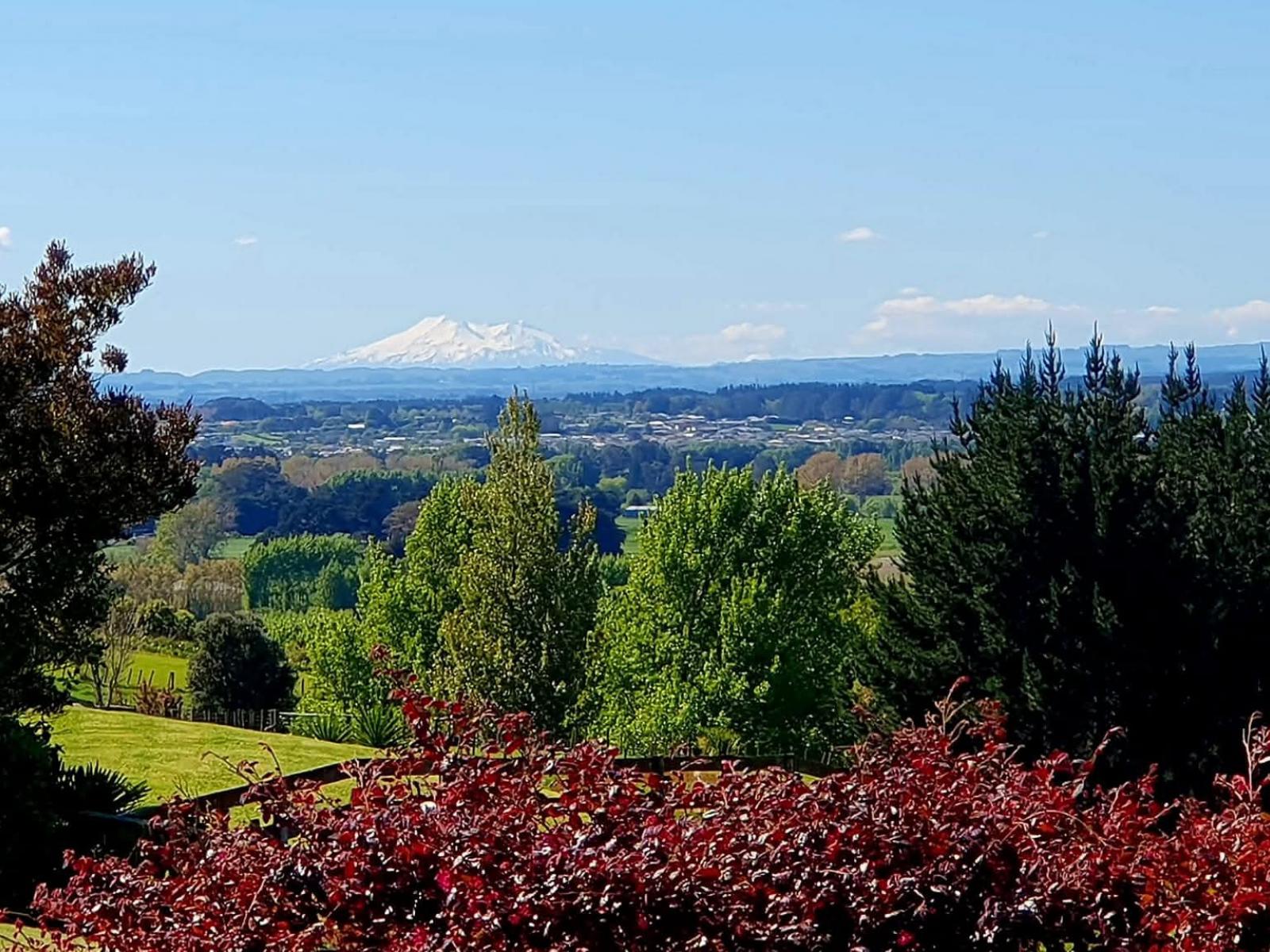 14 Branksome Place, Aokautere