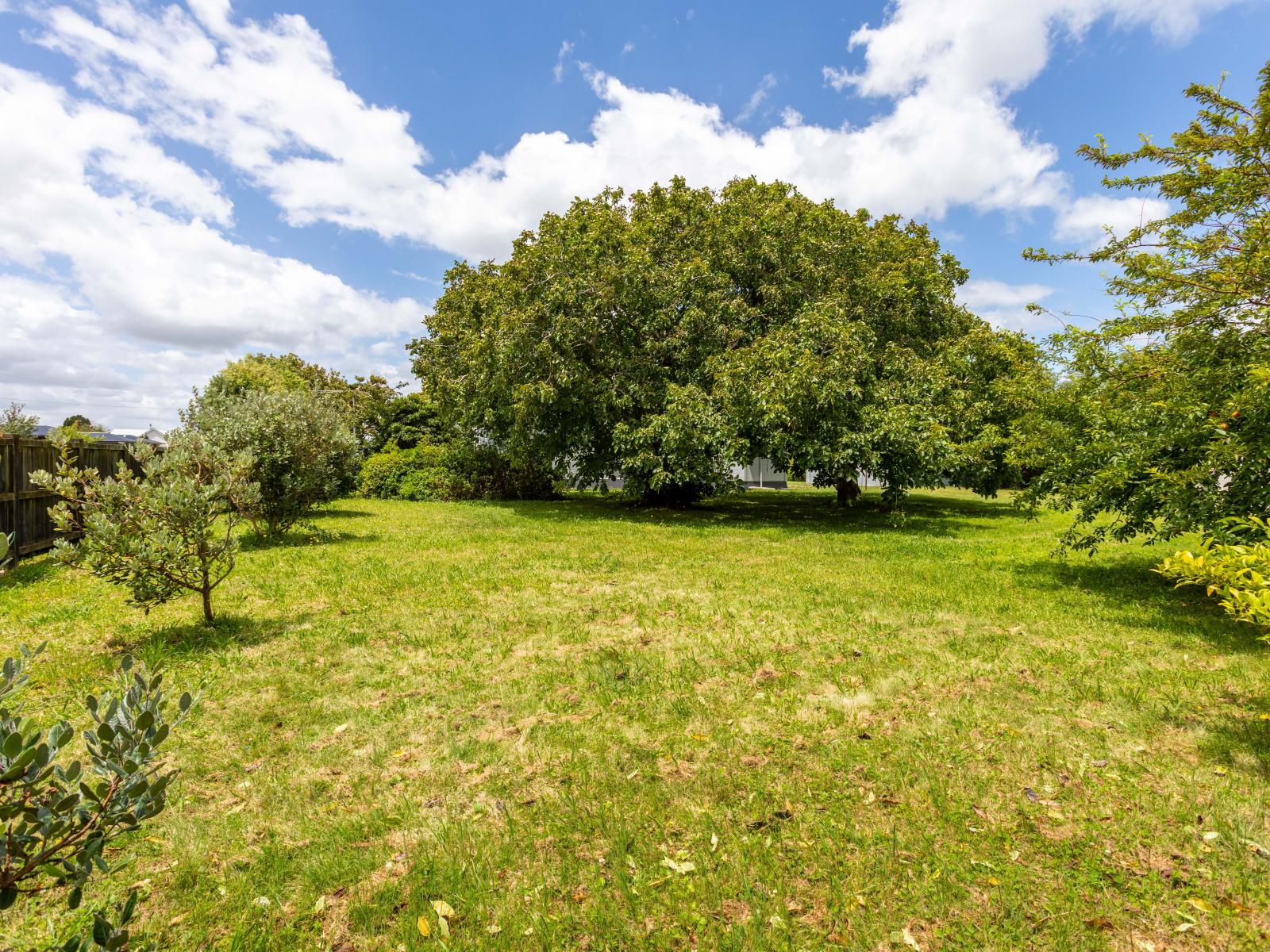 31 Ormond Street, Woodville